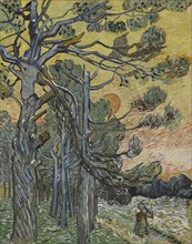 Pine trees at sunset, 1889. Creator: Gogh, Vincent, van (1853-1890).
