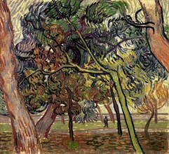 Pine trees in the garden of the asylum, 1889. Creator: Gogh, Vincent, van (1853-1890).
