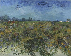 The Green Vineyard, 1888. Creator: Gogh, Vincent, van (1853-1890).