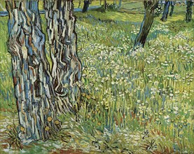 Tree trunks in the grass, 1890. Creator: Gogh, Vincent, van (1853-1890).