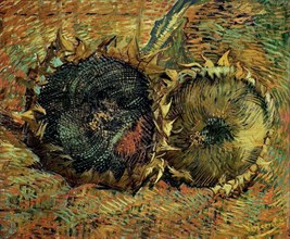 Two cutted sunflowers, 1887. Creator: Gogh, Vincent, van (1853-1890).