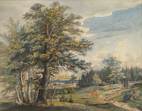 Wooded Landscape with Stag, 1800-1877. Creator: Carl August Lebschee.