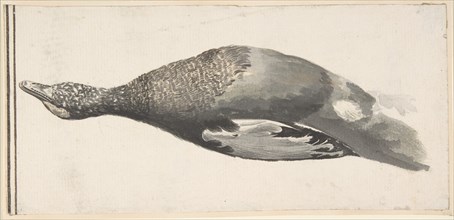 Dead Duck, 1685-1755. Creator: Giorgio Durante.