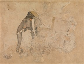Elephant and Rider, ca. 1640. Creator: Attributed to Hashim.