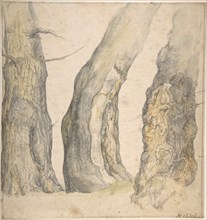 Study of Three Old Gnarled Trees, 1660. Creator: Jan Siberechts.