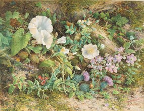 Flower Study, 1866. Creator: John Jessop Hardwick.