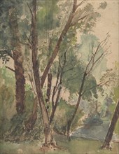 Trees Beside a Pond, 1853-1878. Creator: Louis-Antoine-Leon Riesener.
