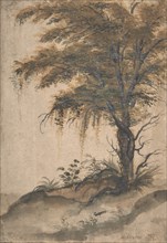 Study of a Tree, mid-16th-early 17th century. Creator: Marten van Valckenborch.