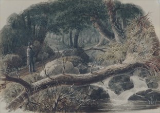The Entrance to a Wood, 1836. Creator: Robert Walter Weir.