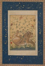 Lion at Rest, ca. 1585. Creator: Mansur.