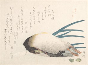 Spring Rain Collection (Harusame shu), vol. 1: Duck and Scallions, 1810s., 1810s. Creator: Shinsai.