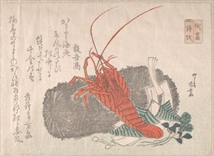 Lobster on a Piece of Charcoal with Other New Year Decorations, 19th century., 19th century. Creator: Shinsai.