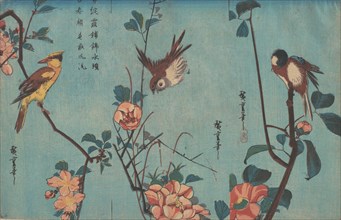 Titmouse and Camellias (right), Sparrow and Wild Roses (center), and Black-naped Oriol..., ca. 1833. Creator: Ando Hiroshige.