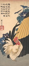 Rooster, Umbrella, and Morning Glories, ca. 1830., ca. 1830. Creator: Ando Hiroshige.