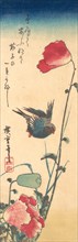 A Bluebird and Poppies, 1832-34., 1832-34. Creator: Ando Hiroshige.