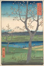 Musashi, Koshigaya Zai, 4th month horse year 1858., 4th month horse year 1858. Creator: Ando Hiroshige.