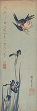 Kingfisher and Irises, 1832-34., 1832-34. Creator: Ando Hiroshige.