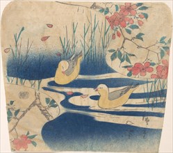 Hooded Gulls and Cherry Blossoms, probably 1850-62., probably 1850-62. Creator: Ando Hiroshige.