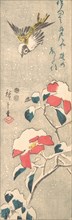 Sparrow and Snow-covered Camellia (Tsubaki), ca. 1845., ca. 1845. Creator: Ando Hiroshige.