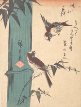 Bamboo and Sparrows, ca. 1840., ca. 1840. Creator: Ando Hiroshige.