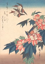 Swallows and Kingfisher with Rose Mallows , ca. 1838., ca. 1838. Creator: Ando Hiroshige.