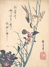 Large-flowered Flat Bill and Sparrow, ca. 1833., ca. 1833. Creator: Ando Hiroshige.