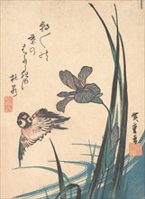 Iris and Sparrow, ca. 1832., ca. 1832. Creator: Ando Hiroshige.