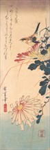 A Wren and Chrysanthemums, ca. 1830., ca. 1830. Creator: Ando Hiroshige.