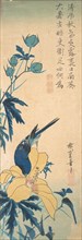 Blue Bird. Creator: Ando Hiroshige.