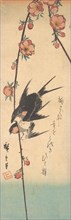 Pear Blossoms and Swallows, ca. 1840., ca. 1840. Creator: Ando Hiroshige.