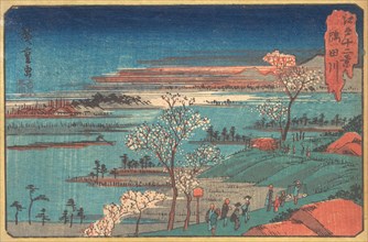 Gotenyama-no Hana. Creator: Ando Hiroshige.