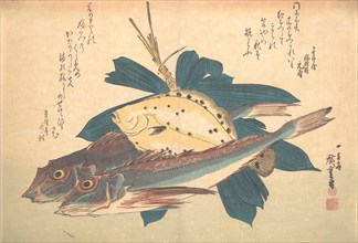 Kanagashira and Karei Fish, from the series Uozukushi (Every Variety of Fish), 1830s., 1830s. Creator: Ando Hiroshige.