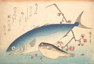 Fugu and Inada Fish, from the series Uozukushi (Every Variety of Fish), 1840s., 1840s. Creator: Ando Hiroshige.