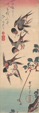 Swallows and Wild Cherry, ca. 1834., ca. 1834. Creator: Ando Hiroshige.