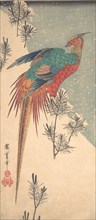 Golden Pheasant and Pine Shoots in Snow , ca. 1835., ca. 1835. Creator: Ando Hiroshige.