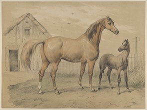 Mare and Foal, 19th century.