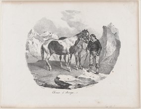 Horses of Auvergne, 1822.