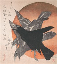 Three Crows against the Rising Sun, from the series Three Sheets (Mihira no uchi) , mid- 1810s.