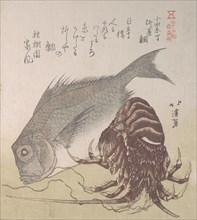 Tai Fish and Lobster; Specialities of Yanagiya in Odawara-cho, 19th century.