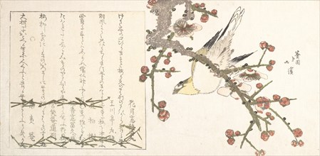 Bush Warbler on a Plum Branch (Ume ni uguisu), early 19th century.