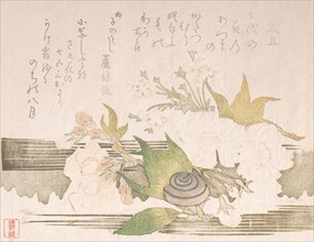 Cherry Blossoms and a Snail, 1816.