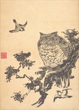 Owl and Two Swallows.