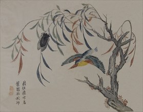 Kingfisher, Cicada, and Willow Tree, 19th century.