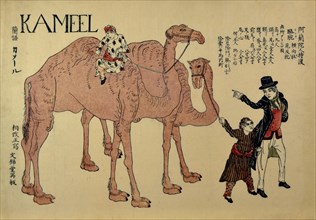 Camels with Dutch Handlers, ca. 1821.