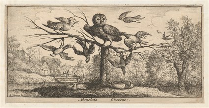 Monedula, Chouëtte (The Owl): Livre d'Oyseaux (Book of Birds), 1655-1660.