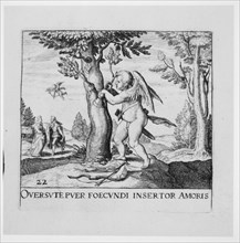 Emblemata Secularia, 1611. [Oversute puer foecundi insertor amoris].