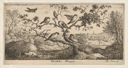 Ficedula, Piuoyne (The Bullfinch): Livre d'Oyseaux (Book of Birds), 1655-1660.