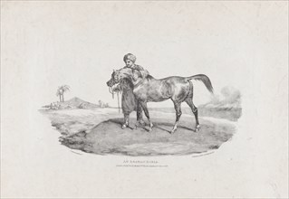 An Arabian Horse, 1821.