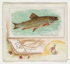 Brook Trout, from Fish from American Waters series (N39) for Allen & Ginter Cigarettes, 1889.