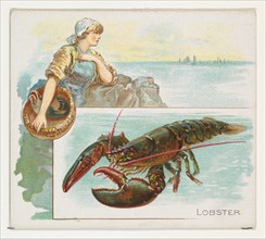 Lobster, from Fish from American Waters series (N39) for Allen & Ginter Cigarettes, 1889.